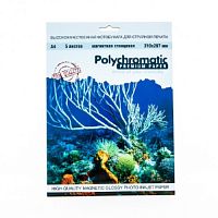 Фотобумага POLYCHROMATIC А4 магнитная матовая 650г/м2, 5л.